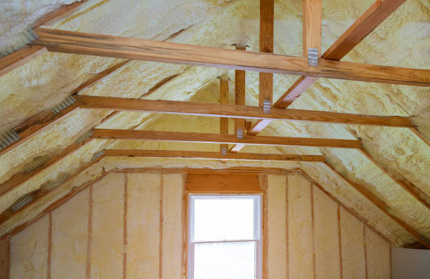 Best Insulation for New Construction  in Pequot Lakes, MN