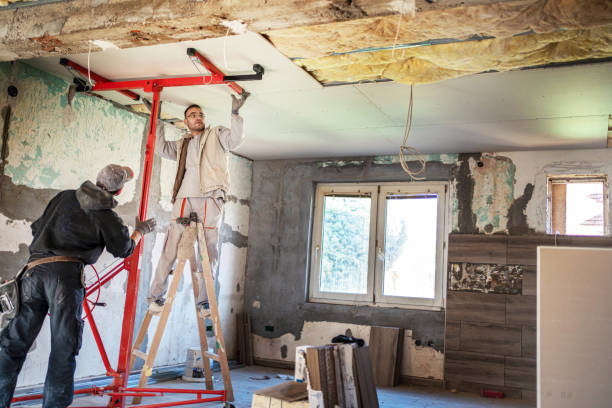 Best Spray Foam Insulation  in Pequot Lakes, MN